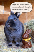 Frohe Ostern