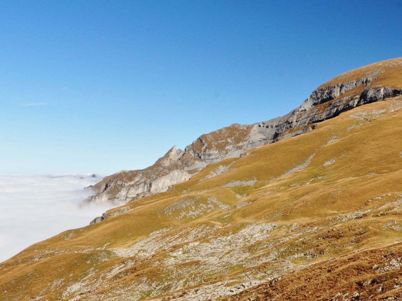 Umwelttipp: Aus Liebe zu den Bergen