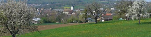 Landschaft mit Kirche Therwil