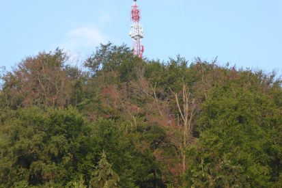 Umwelttipp Sonnenenergie